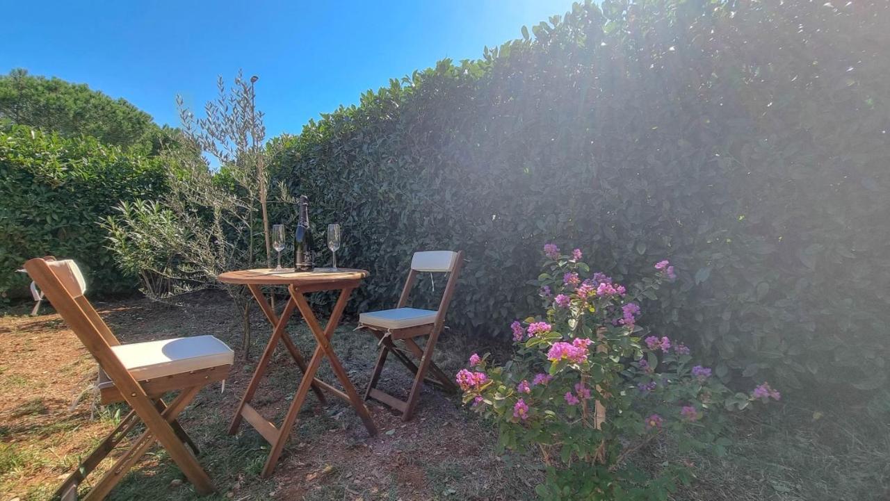 Lea Lägenhet Novigrad Istria Exteriör bild